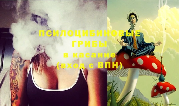 PSILOCYBIN Навашино