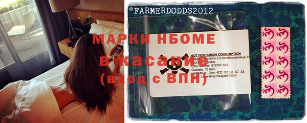 PSILOCYBIN Навашино