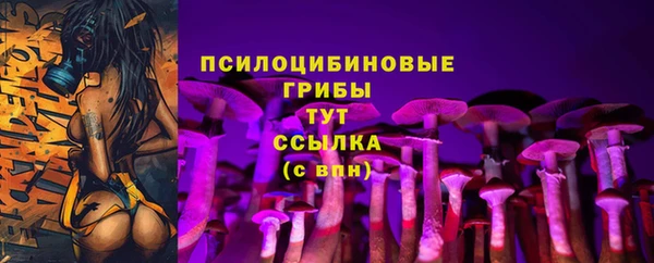 эйфоретик Надым